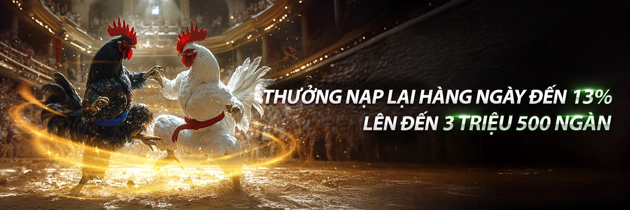 Giới thiệu về Mã K9CC - Nền tảng giải trí trực tuyến hàng đầu
