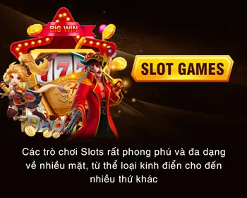 Bước 4: Đăng nhập và Bắt đầu chơi